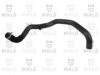 RENAU 215030036R Radiator Hose